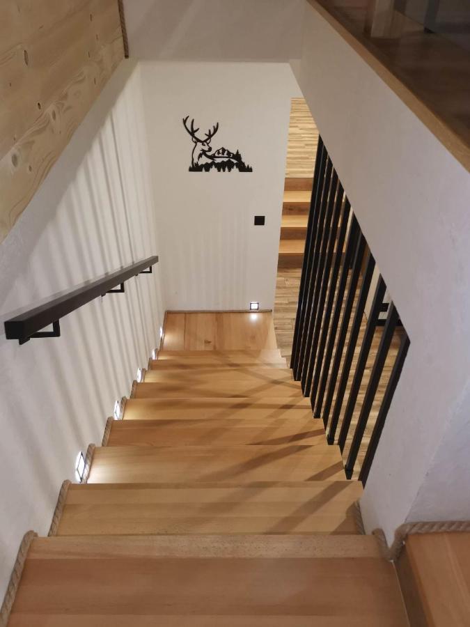 Apartament Skorusinka W Poblizu Chocholowskich Term Witów Kültér fotó